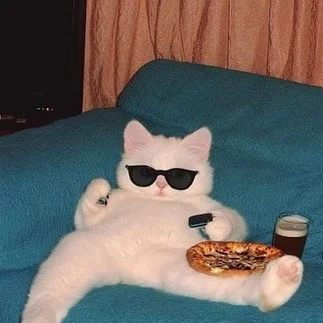 FrizPL_ - ale leniwa niedziela