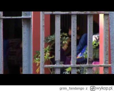 grimfandango - @grimfandango: