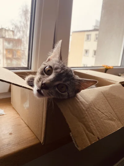 SunnO - Pozdrawiamy z Posterunku Monitoringu Osiedlowego ( ͡º ͜ʖ͡º) można go zwiedzić...