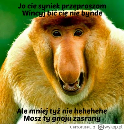 Cerb3rusPL - @Pan_Hieronim: