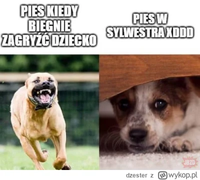 dzester - Tak dla narracji #psiarze przypominam, że za 2 miesiące sylwester ( ͡° ͜ʖ ͡...