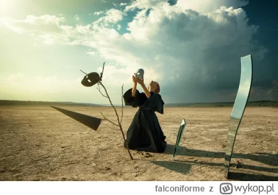 falconiforme - Zbite lustro to 7 lat nieszczęścia.

O ile przyjęło się, że zniszczyli...