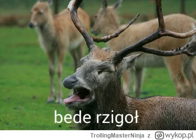 TrollingMasterNinja - @Winogronobezpestki1: