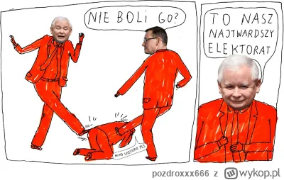 pozdroxxx666 - @Koziom: rolnicy i tak zagłosują na pis