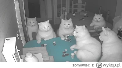 zomowiec - @zomowiec wtorek