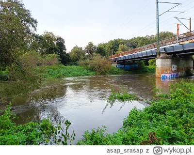 asapsrasap - @asapsrasap