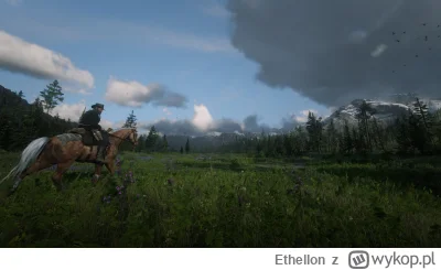 Ethellon - #gry #rdr2 #ethellongry