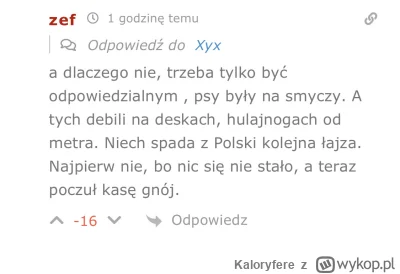 Kaloryfere - https://krknews.pl/pies-pogryzl-mezczyzne-na-bulwarach-wislanych-apel-po...