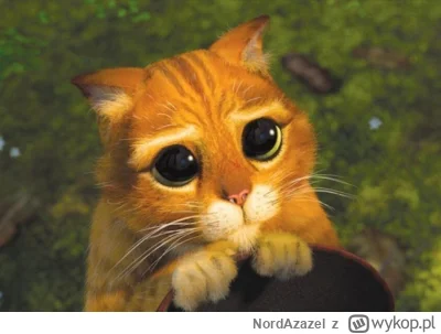 NordAzazel - @Lujdziarski: kup mu kapelusz