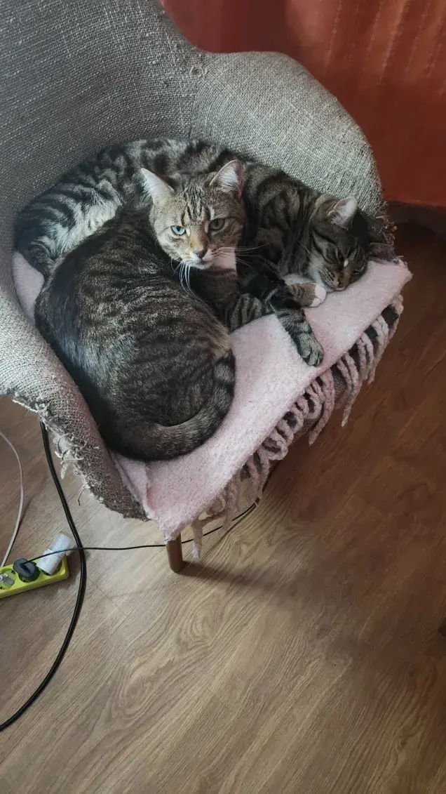 Wanzey - @Grzybzfugi: proszę głaskać