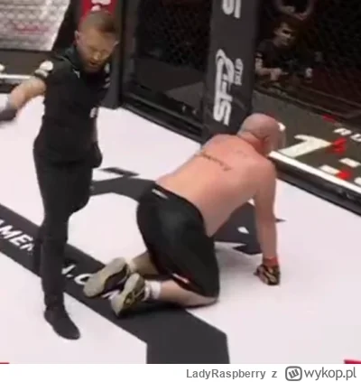 LadyRaspberry - Kaczorek powinien tam wleciec i kopa w dupe dac Mortadeli, aby wstał....