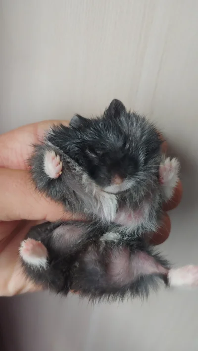 pawelje - @wyslijnudeski: ja i Krecik trzymamy mocno kciuki za Ciebie i życzymy wszys...