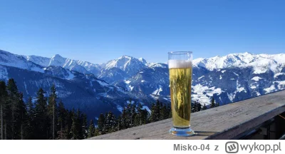 Misko-04 - I to jest żyćko
#narty #alpy #pijzwykopem