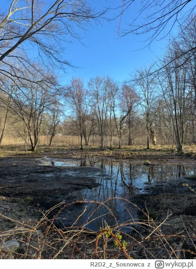 R2D2zSosnowca - @R2D2zSosnowca tu początek kwietnia
