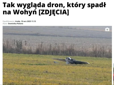 kapitannowakowskikolegamoimbyl - Wohyń! Wohyń! Pamiętamy! #ukraina #rosja