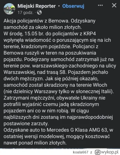 koala667 - #ukraina #przestepczosc #polska