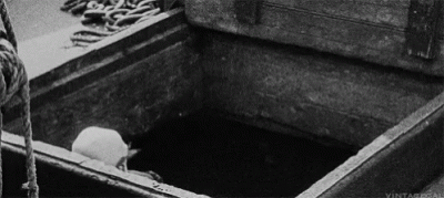 bizzi0801 - czas na respawn mariusza
#danielmagical