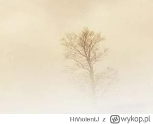 HiViolentJ - Mgła
O społecznych skutkach zbyt gęstej mgły.

We wsi obok o świcie przy...