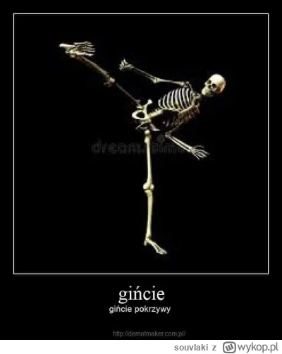 souvlaki - @ZAKAPIOREK