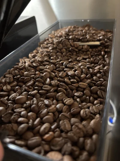 PodniebnyMurzyn - Czy jakiś ekspert wykopowy ds. kawy może mi powiedzieć po rodzaju z...