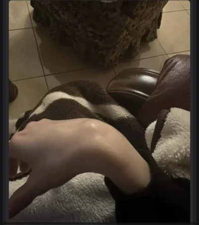 renegadevatican - Normalna chlopska reka uzytkowniczki , znaczy sie uzytkownika hibis...