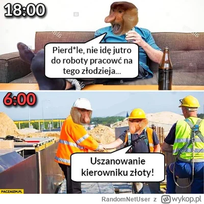 RandomNetUser - A już po 20 stycznia: