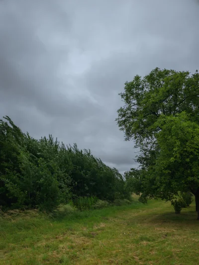 remlezar - #przegryw #spierdotrip

Pogoda trochę niekorzystna dla huopa, ale trzeba i...