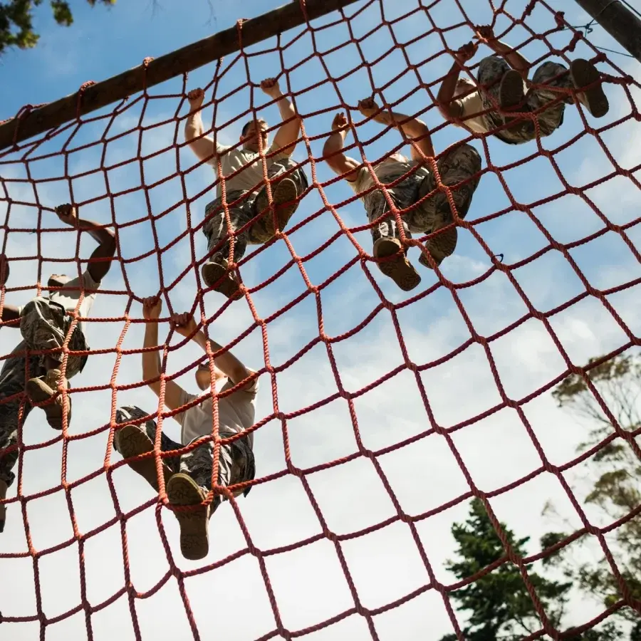 tojestmultikonto - @lunaria: widziałaś kiedyś jak kitku pokonuje ogrodzenie z siatki?