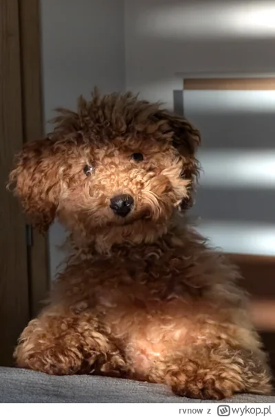 rvnow - @LeonL:  moze zacznijmy chodzić w kolczugach skoro boimy sie że ktoś sprzeda ...