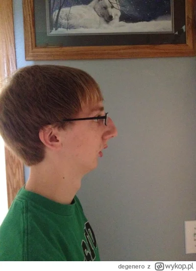 degenero - @JuanPablitoSegundo_2137: ja będę szczery, wyglądasz jak ten z załączonego...