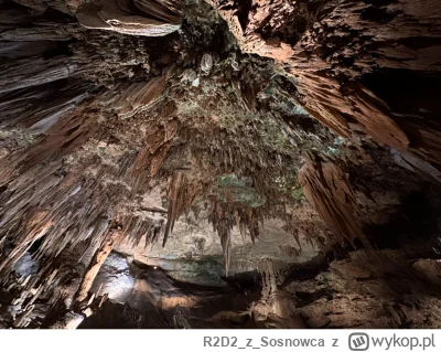 R2D2zSosnowca - @R2D2zSosnowca no patrzcie tylko na to ʕ•ᴥ•ʔ