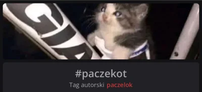 paczelok - #paczekot Autorski 