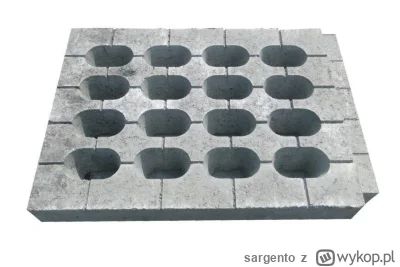 sargento - >+ płyty betonowe

@cultofluna: można uściślić. :)
To są płyty jumbo