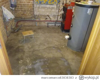 marcomarco83838383 - #palmynalegnickiej #remontujzwykopem #remont  #piwniczaknews My ...