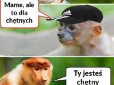 Hrjk - @wujek_mikazjusz