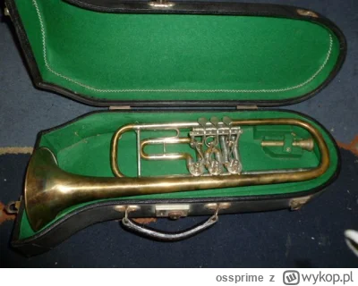 ossprime - P------y papier

#gielda #xtb #meczennicyxtb