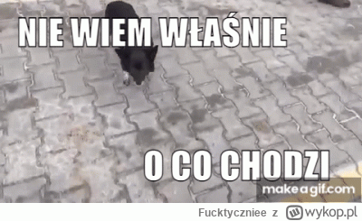 Fucktyczniee - @damienbudzik: