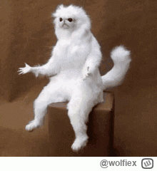 wolfiex - @wezsepigulke: a ja myślałem że to już przeginka jak byłem namawiany aby na...