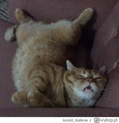 leonid_bialkow - @wfyokyga: cze dla ciebie