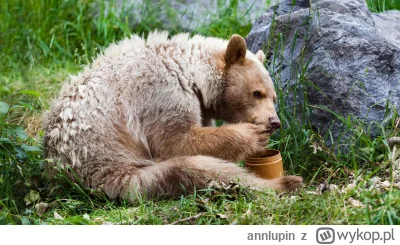 annlupin - mmm mmm miut