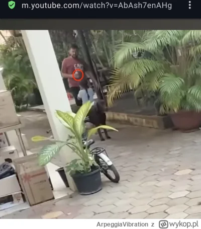 ArpeggiaVibration - #raportzpanstwasrodka #popaswpieprz A kogóż to złapało oko kamery...