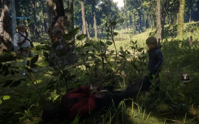 witajswiecie - >Nie ograłem w online. Np czy można było przechodzić fabułę w 2 osoby?...