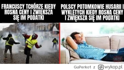GuPerko1 - #polska #francja #humorobrazkowy #heheszki