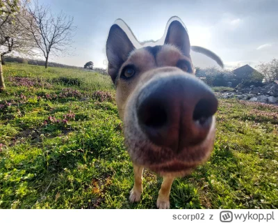 scorp02 - Coś się trochę zepsuło, ale jest też nochal ( ͡° ͜ʖ ͡°)