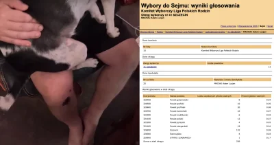 B1ES - #raportzpanstwasrodka Pomyśleć tylko, że bezrobotny łysy knur mógł być u koryt...