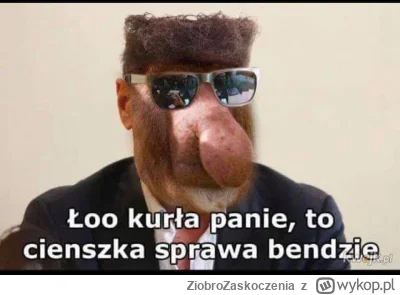 ZiobroZaskoczenia - Cały dzień się dziś z siebie śmieje, co odjaniepawliłem wczoraj t...