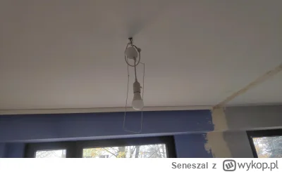 Seneszal - @inrzynier: Moja kuchnia od dłuższego czasu jest w permanentnym remoncie i...