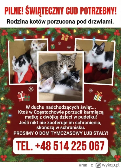 Kruk_ - Mireczki trzeba pomóc ktoś porzucił koty w pudełku #czestochowa #koty #pomocy...