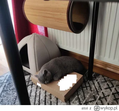 atol - już 3 tydzień wyrzucam pudełko ( ͡° ͜ʖ ͡°) #pokazkota