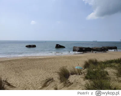 PiotrFr - A nie, jednak są